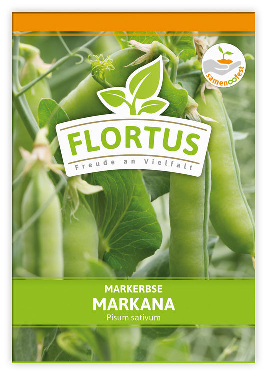 Markerbse Markana (100 Stück)