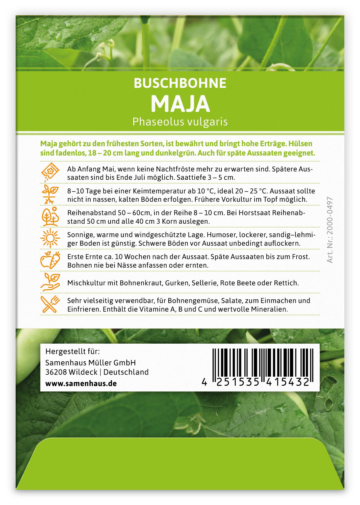 Buschbohne Maja (100 Stück)