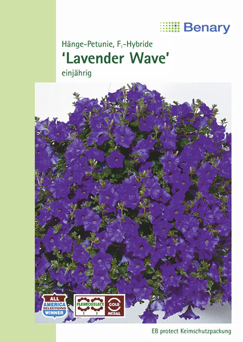 Petunie Lavender Wave F1