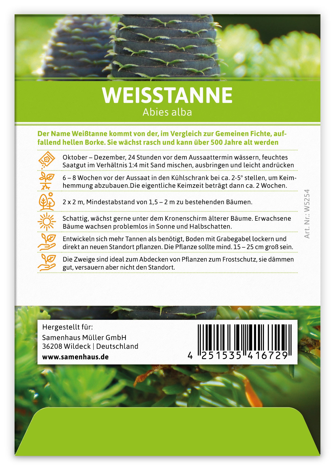 Weißtanne (Regionale Sorte Schwarzwald) (100 Tütchen)
