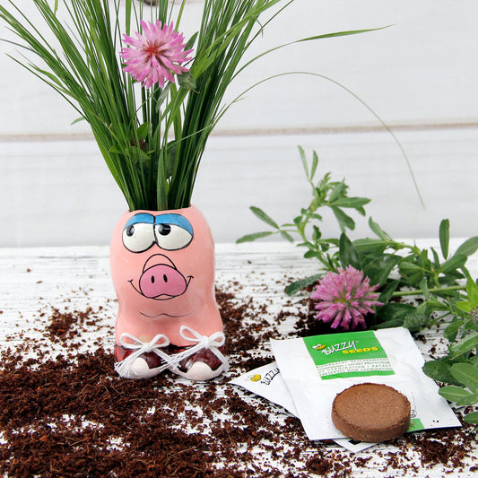 Anzuchtset Munakuppi Schwein