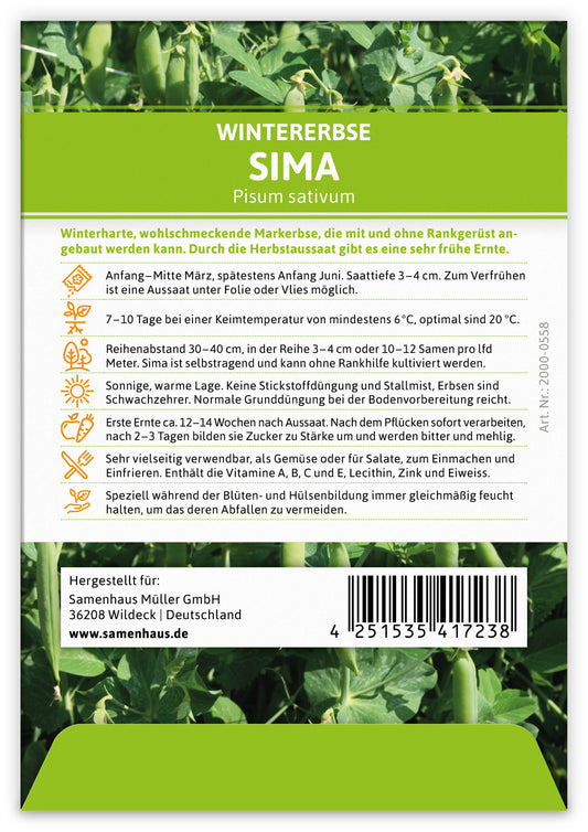 Wintererbse Sima