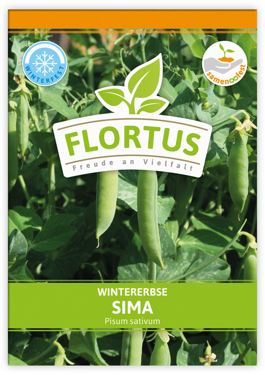 Wintererbse Sima (100 Tütchen)