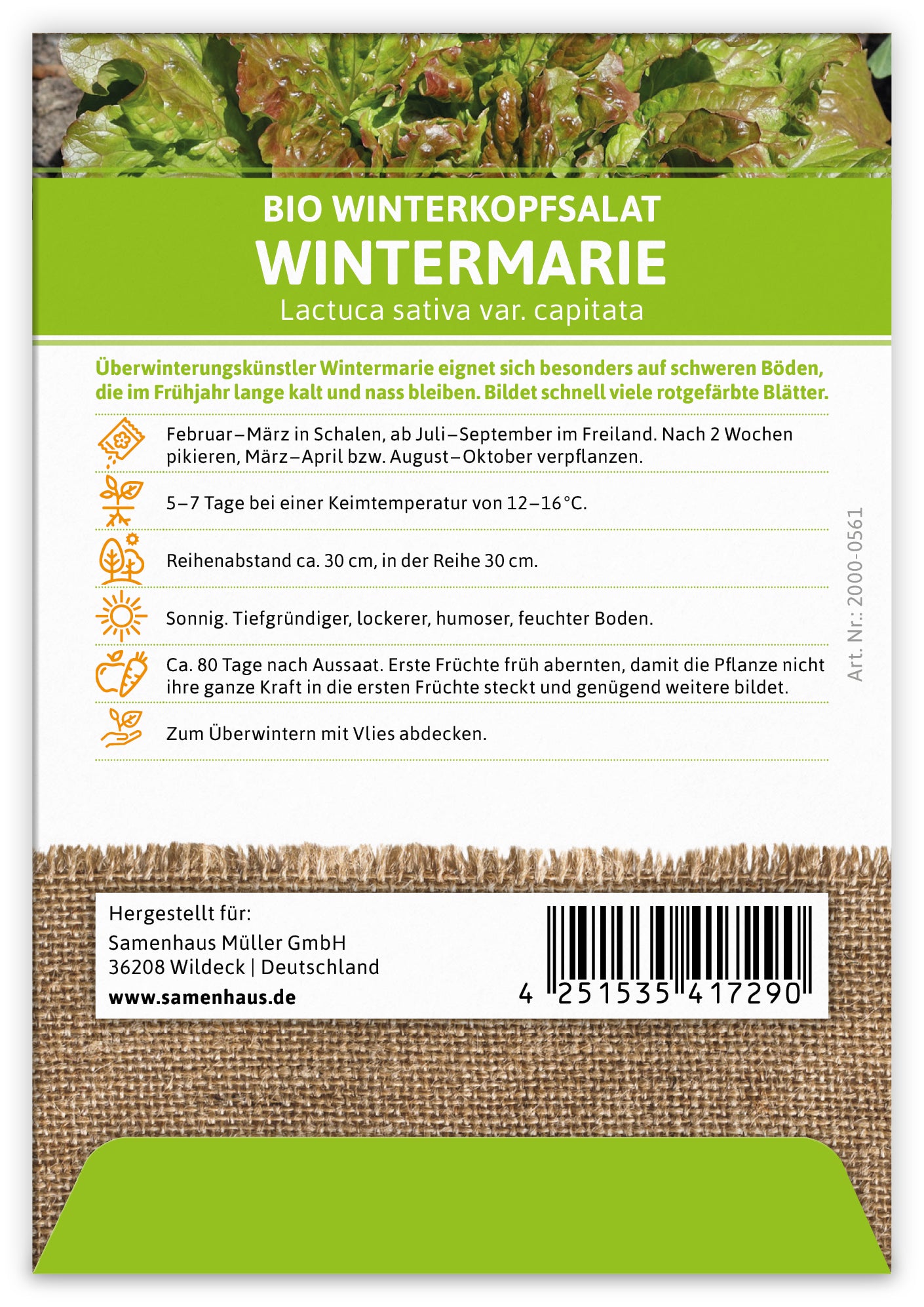 BIO Winterkopfsalat Wintermarie (100 Tütchen)