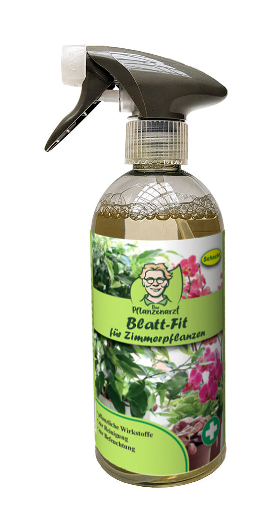 Blatt-Fit (500 Ml)