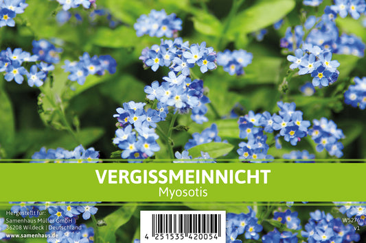 Vergissmeinnicht Für Werbezwecke (500 Stück)