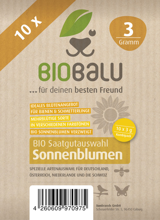 BIO Sonnenblumen (10 Stück)