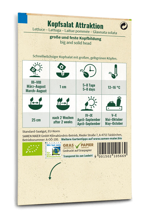 BIO Kopfsalat Attraktion