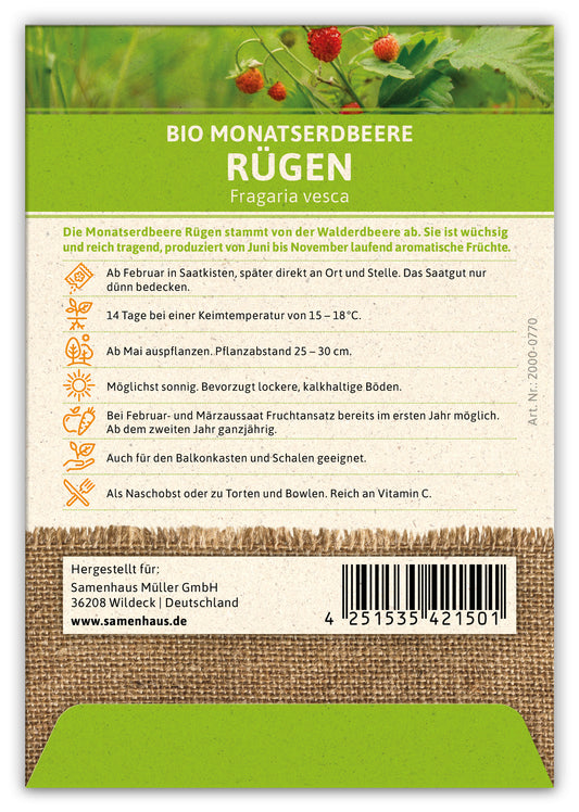 BIO Monatserdbeere Rügen