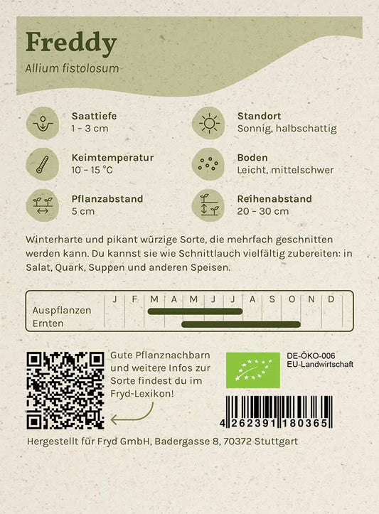 Fryd BIO Winterheckenzwiebel Freddy