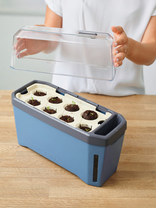 HARRY HERBS Kräutertopf Blau