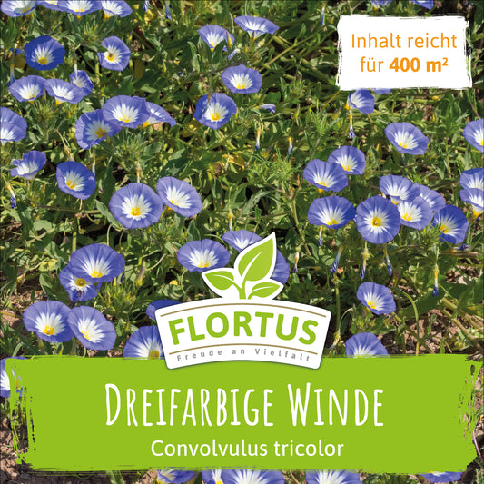 Wiesenblume Dreifarbige Winde (100 G)