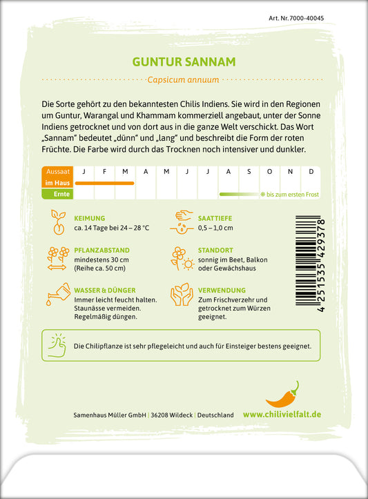 Chili Guntur Sannam