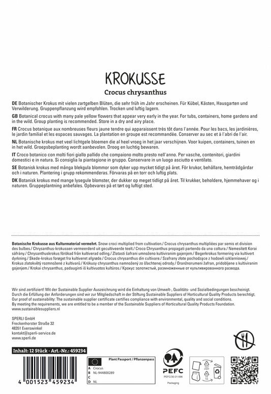 Wildkrokus Romance (12 Stück)
