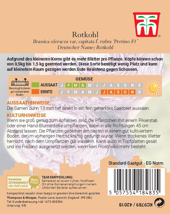 Rotkohl Pretino F1