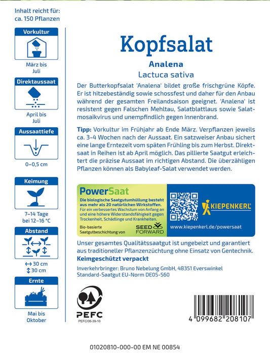 Kopfsalat Analena (PowerSaat)