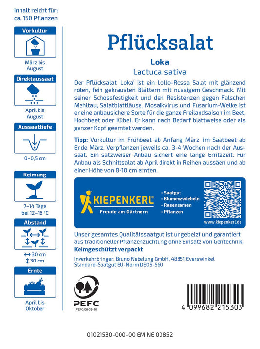 Pflücksalat Loka