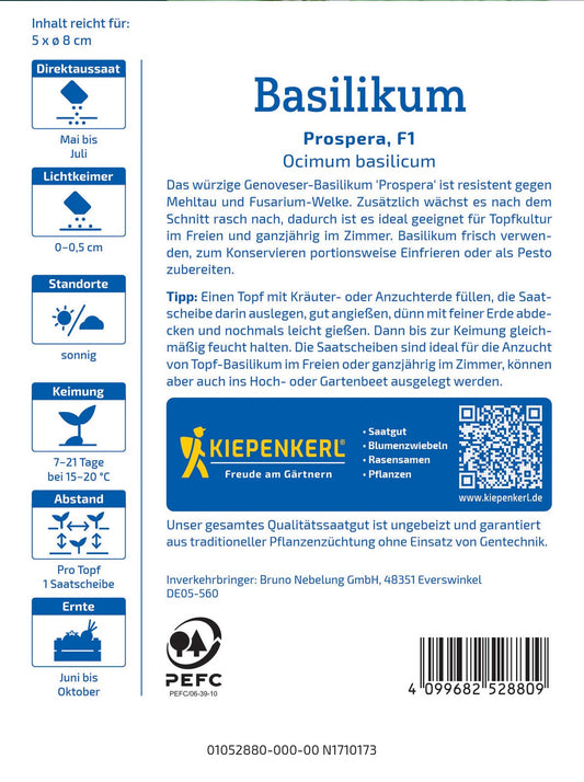 Basilikum Prospera F1 (Saatscheibe)