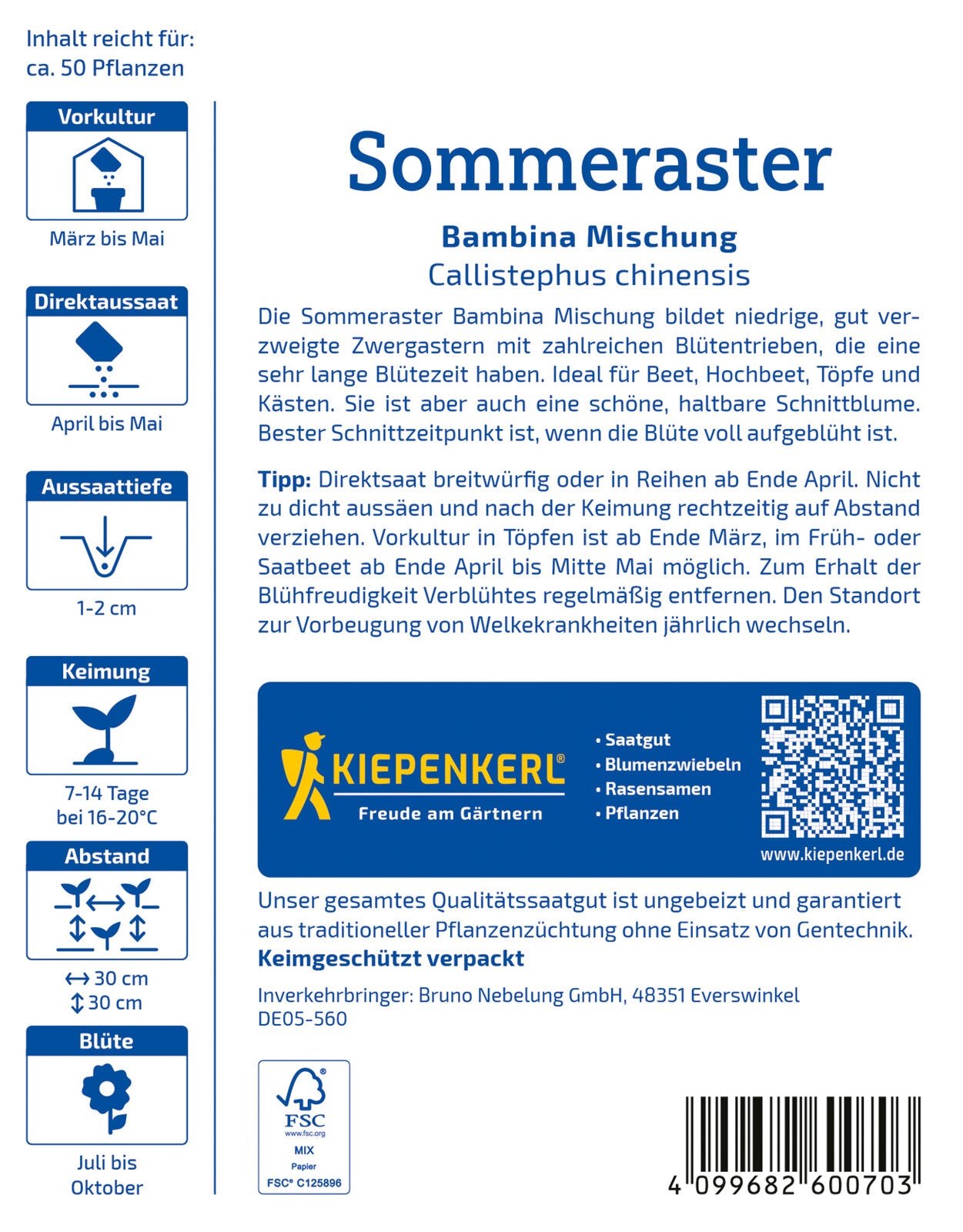 Sommeraster Bambina Mischung