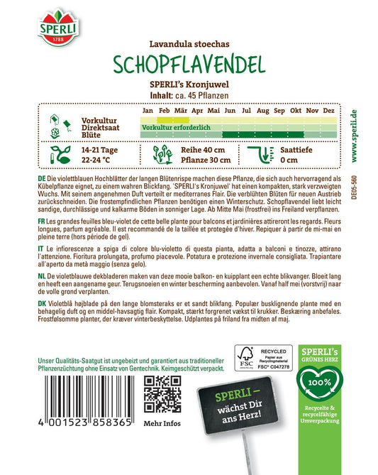 Schopflavendel SPERLI's Kronjuwel
