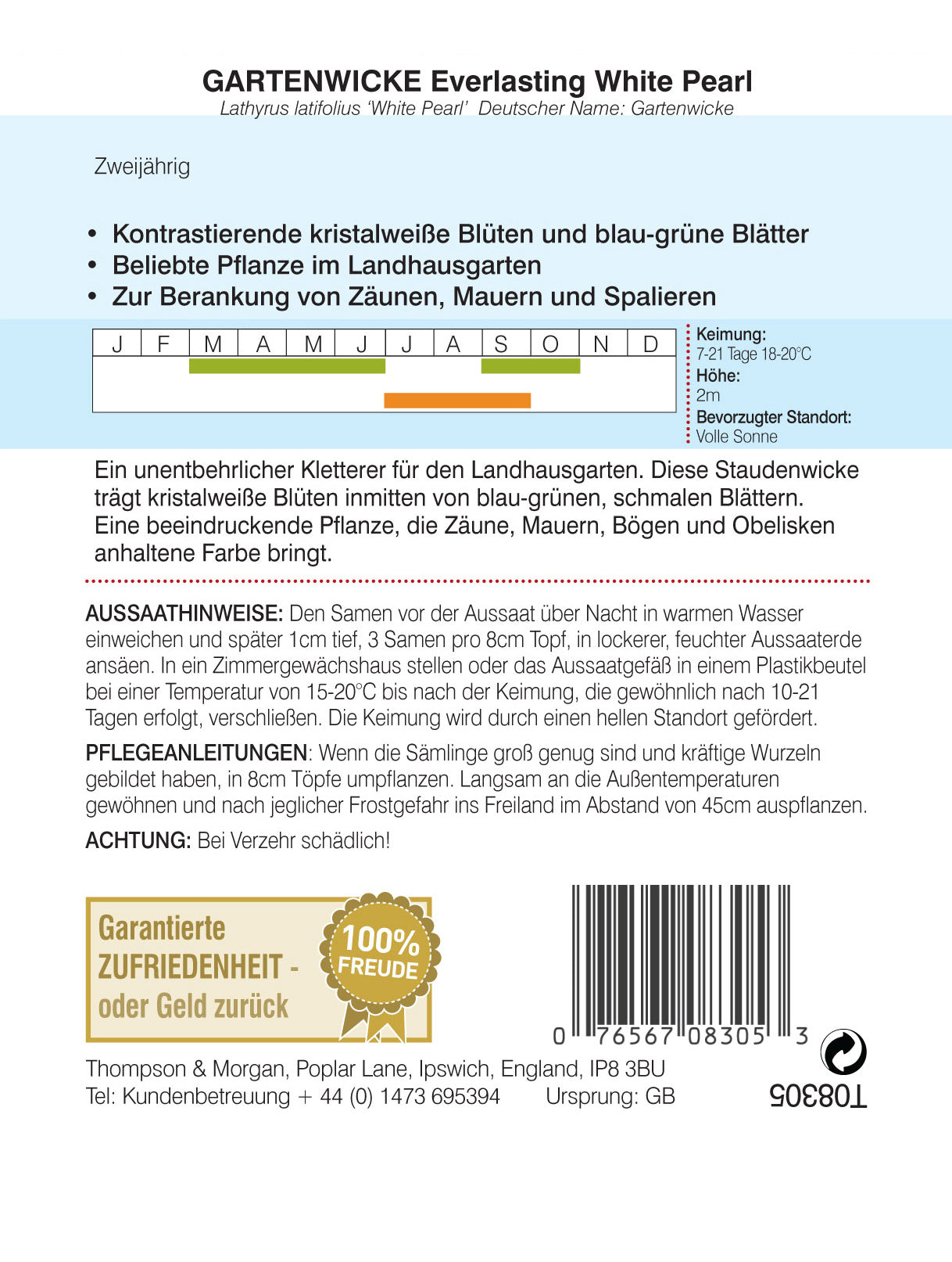  Gartenwicke Everlasting White Pearl