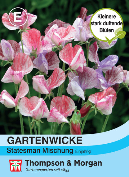  Gartenwicke Statesman Mischung