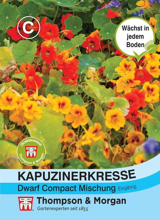  Kapuzinerkresse Dwarf Compact Mischung