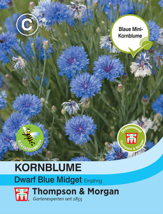  Kornblume Dwarf Blue Midget