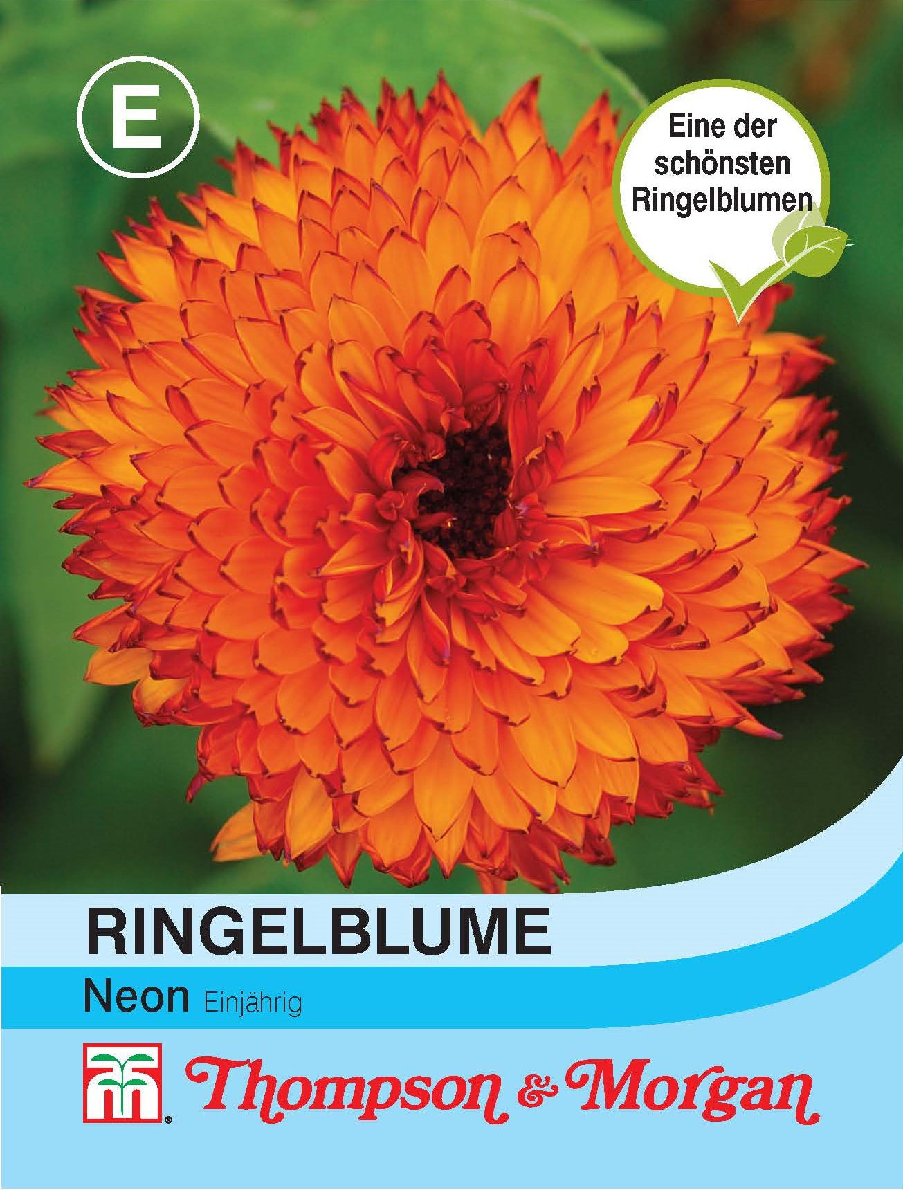  Ringelblume Neon