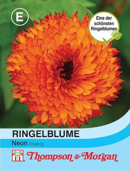  Ringelblume Neon