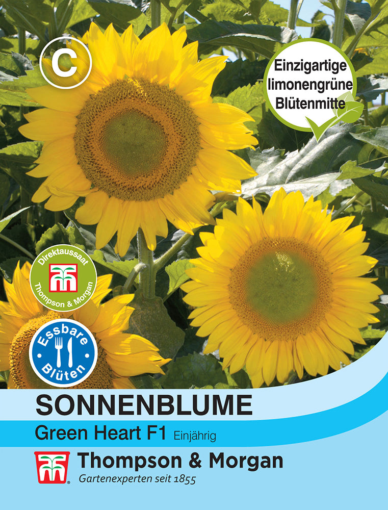  Sonnenblume Green Heart F1 Hybride