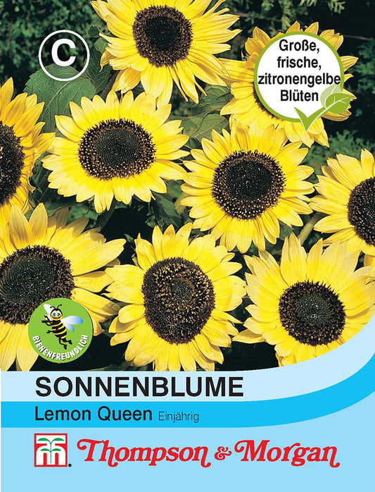  Sonnenblume Lemon Queen [MHD 12/2025]