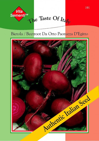  Rote Bete Bietola Da Orto Paonazza D'Egitto