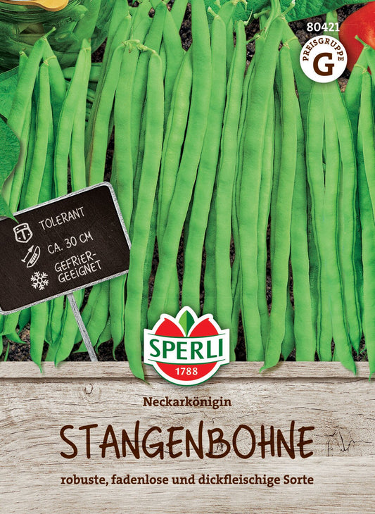  Stangenbohne Neckarkönigin