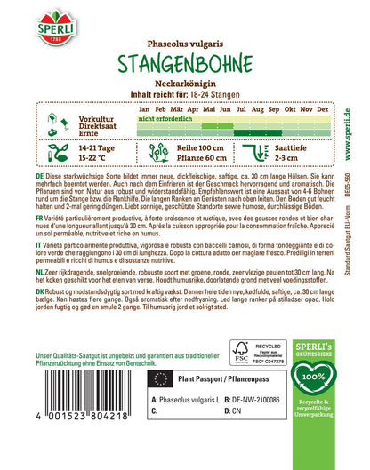  Stangenbohne Neckarkönigin