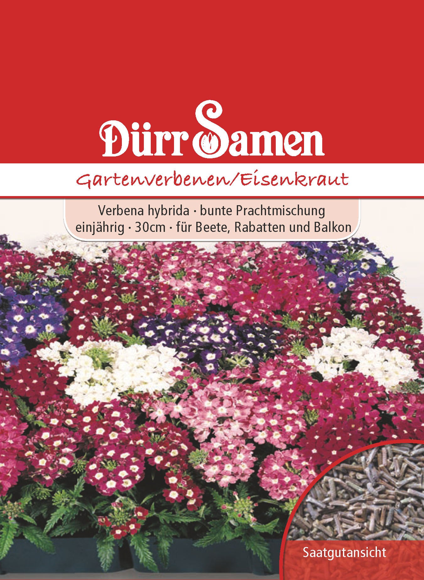  Gartenverbenen
