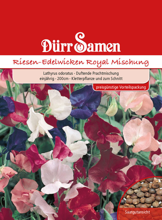  Riesen Edelwicke Royal Mischung [MHD 12/2025]