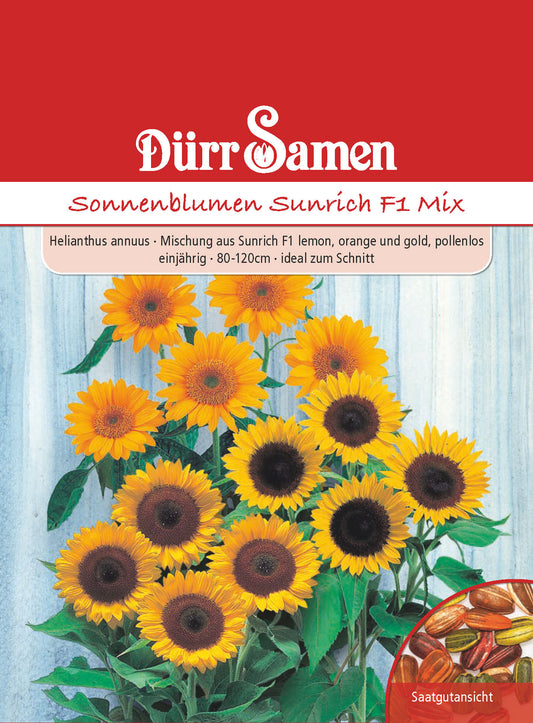  Sonnenblume Sunrich F1 Mix