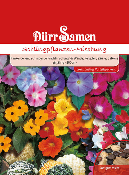  Schlingpflanze Mischung