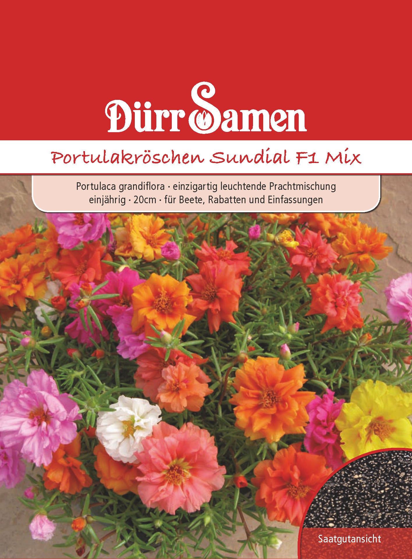  Portulakröschen Sundial F1 Mix