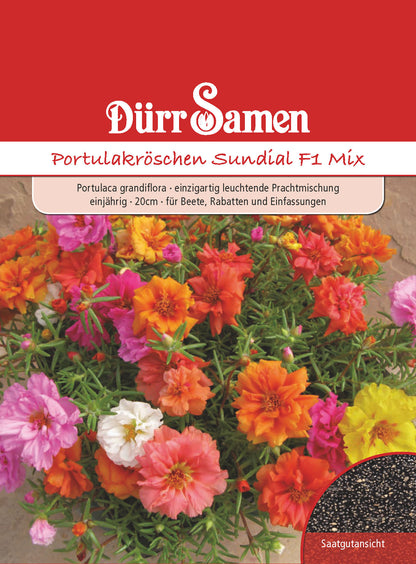  Portulakröschen Sundial F1 Mix