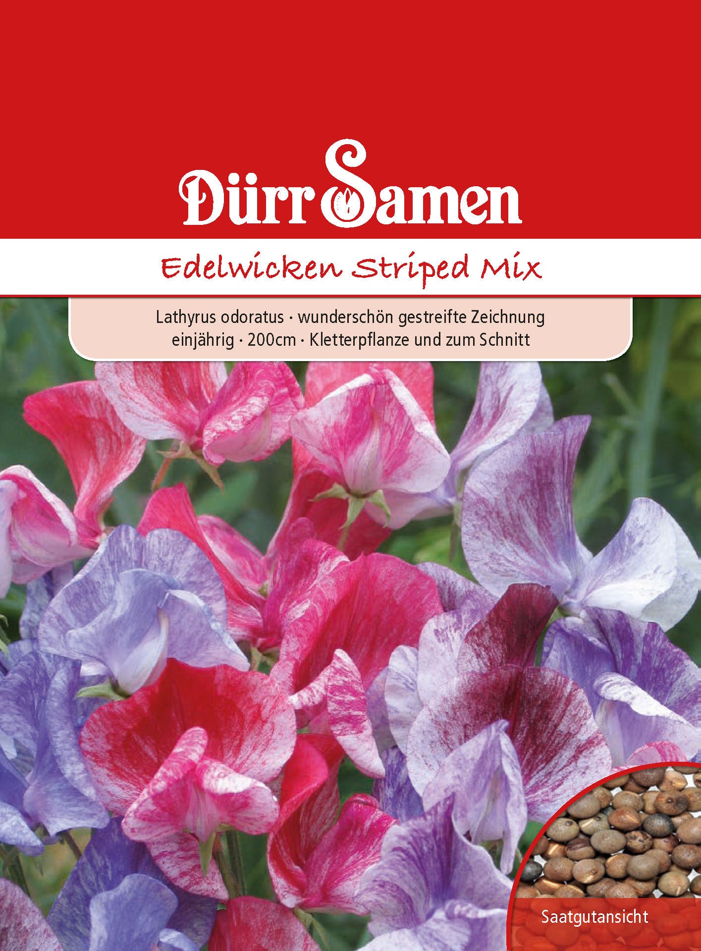  Edelwicke Striped Mix