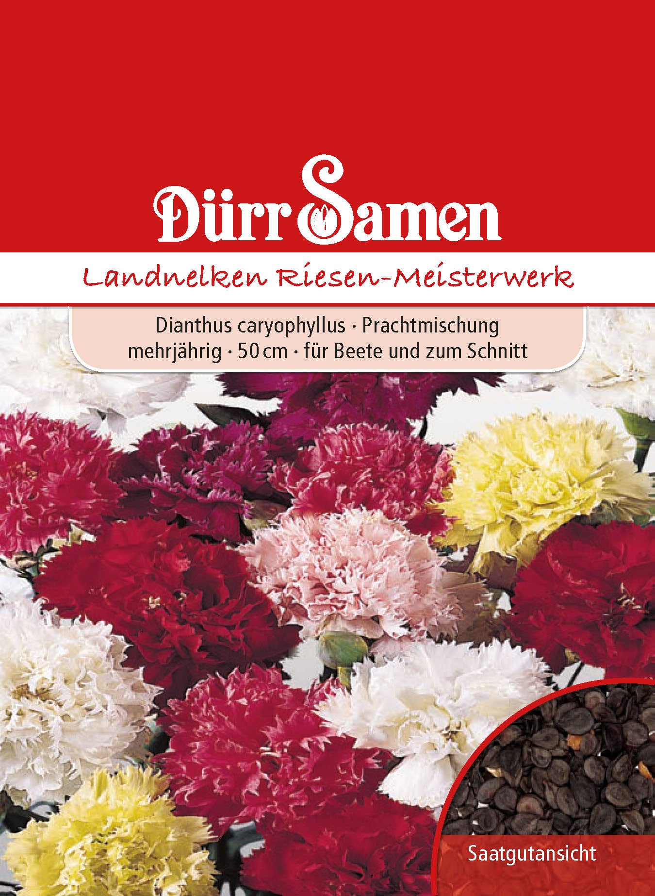  Landnelke Riesen Meisterwerk