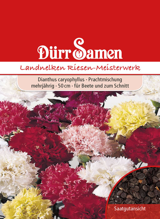  Landnelke Riesen Meisterwerk