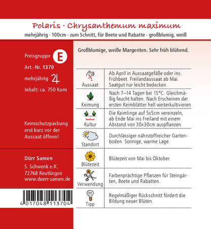  Margerite Polaris