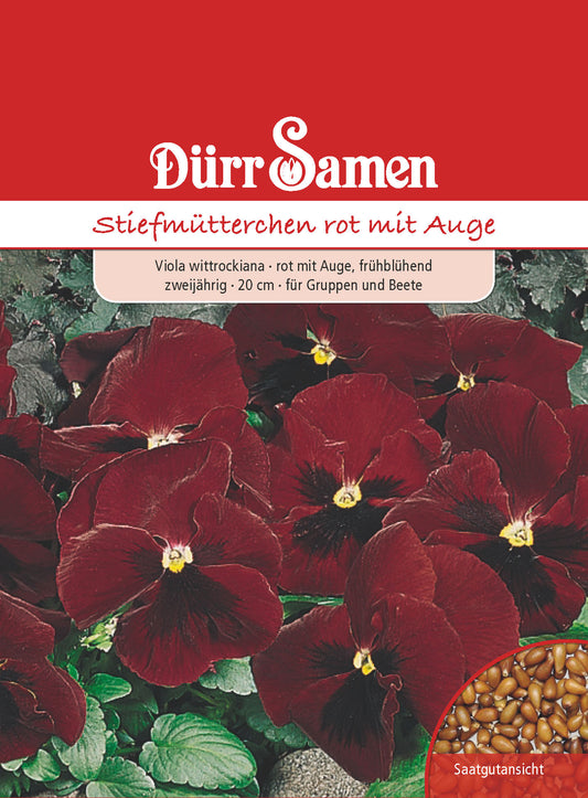  Stiefmütterchen Rot Mit Auge
