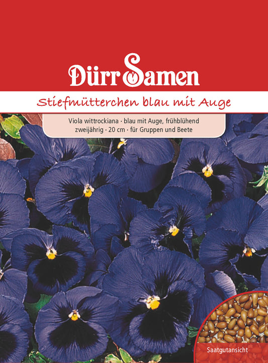  Stiefmütterchen Dunkelblau Mit Auge