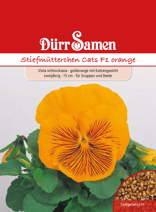  Stiefmütterchen Cats F1 Orange