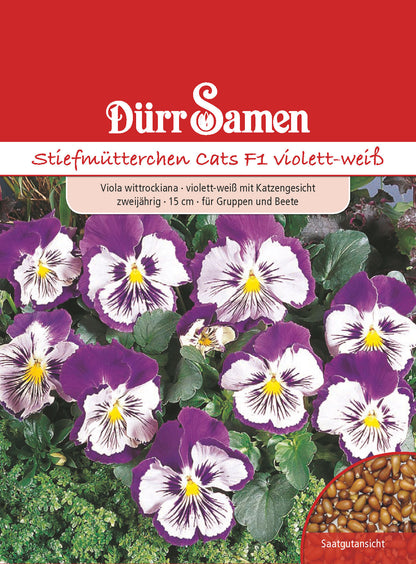  Stiefmütterchen Cats F1 Violett Weiß