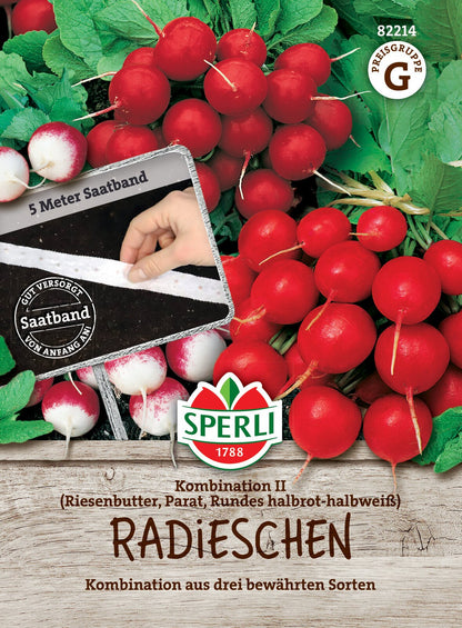  Radies Kombination II, 3 Sorten